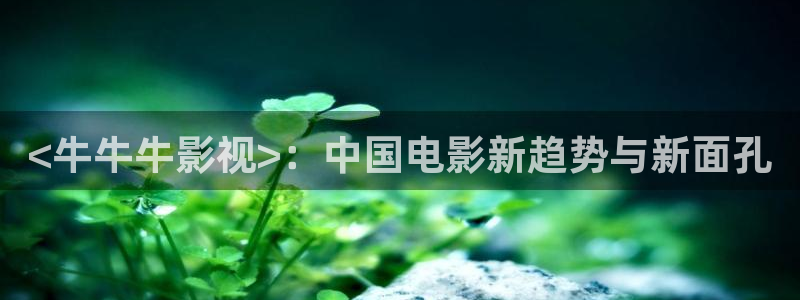 神马影院免费在线看