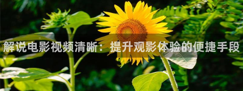 神马影视午夜天堂