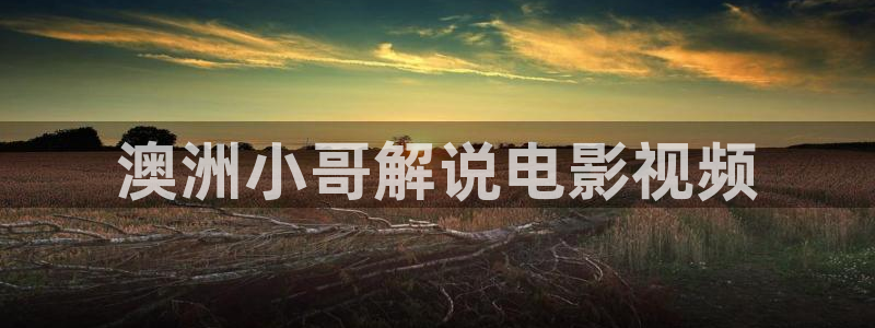 神马飘雪免费观看电视剧西瓜影院