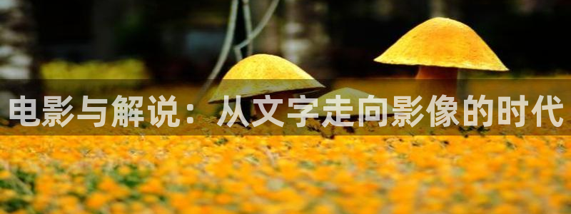 新神马午夜影院