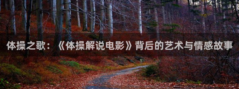 神马电影dy