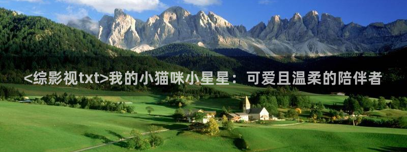 神马影视电视剧免费大全
