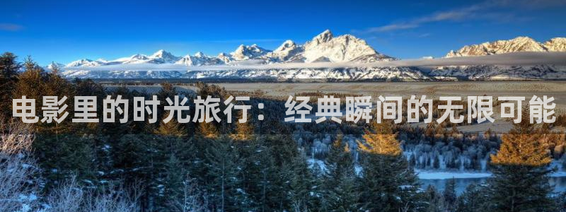 神马手机免费理论电影