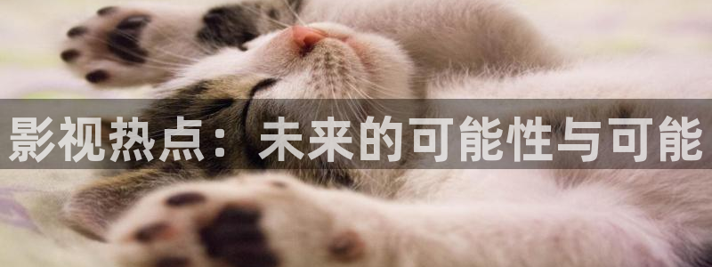 神马电影午夜电影在线观看
