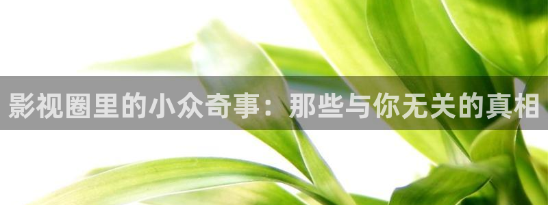 神马影院电视剧免费观看完整版长