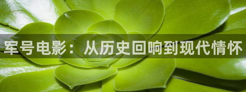 神马电影网午夜888