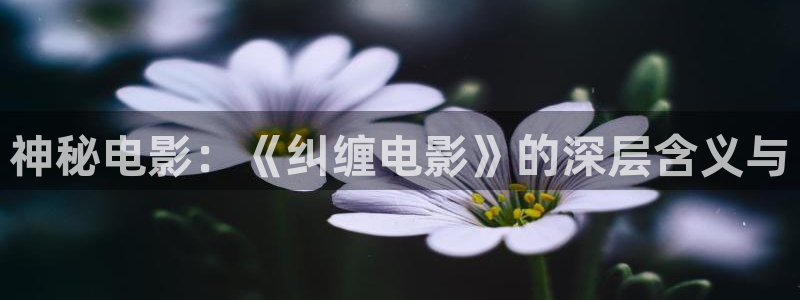 美景之屋2神马电影