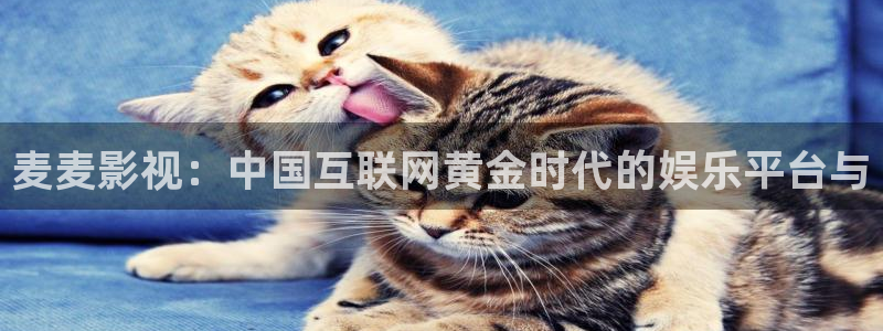 神马电影院免费在线