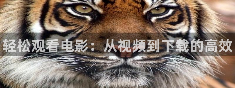 神马电影院手机版伦理