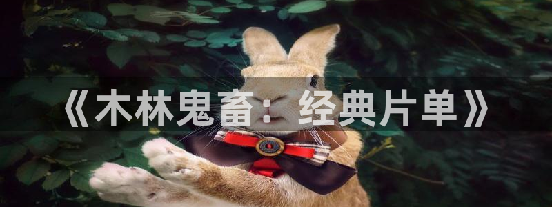 6080神马影视