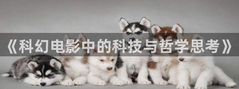 电影在线神马