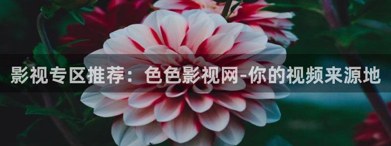 神马伦理第九电影影院