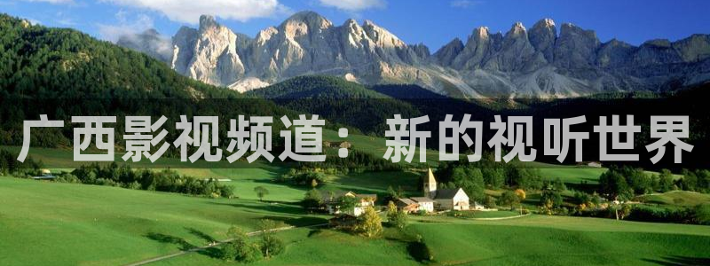 神马论理电影在线观看