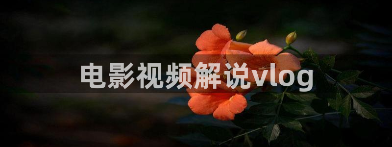神马影视麻豆