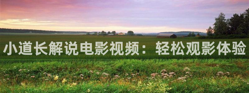 神马我不卡午夜电影
