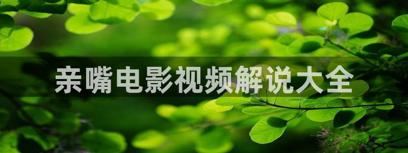 神马电影伦理在线播放