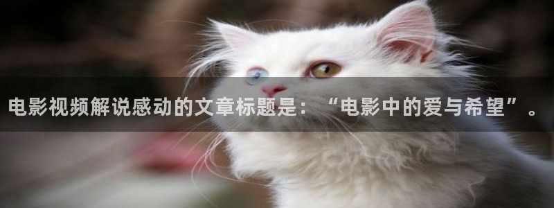 神马影院夏