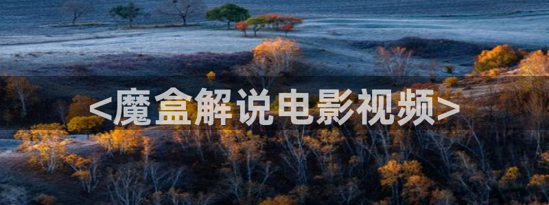 九九神马影院