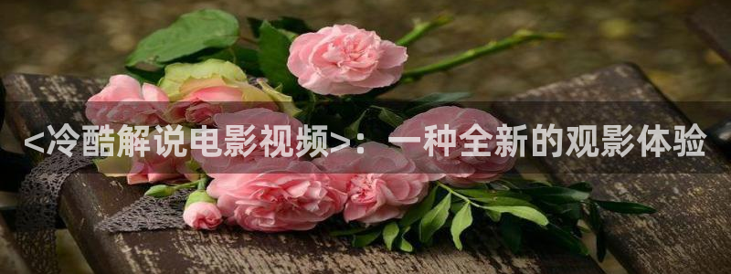 战狼神马电影在线观看