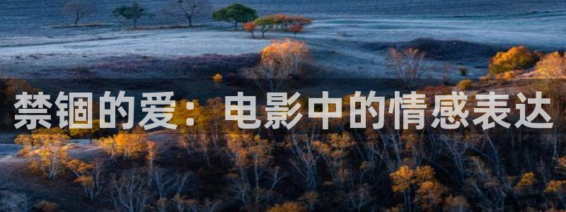 神马家庭影院伦理片