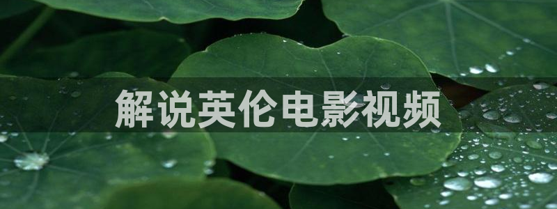 我不卡神马影院手机在线