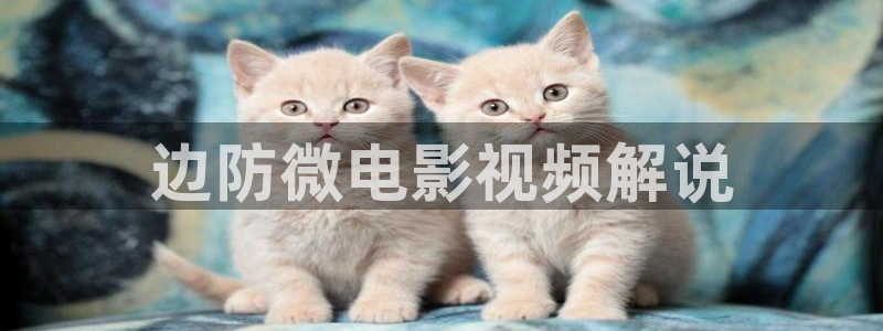 神马影院达达兔私人影院