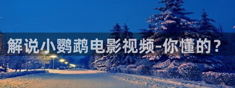 神马手机午夜不卡影院