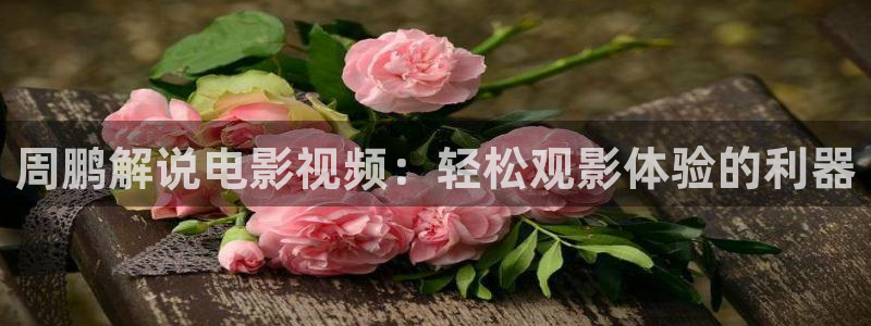 神马电影电影大全