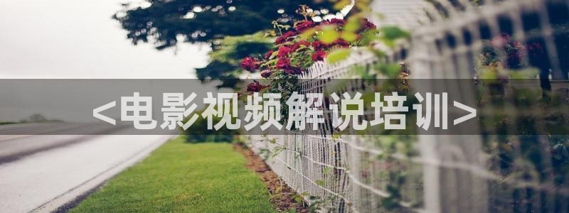 精品神马电影