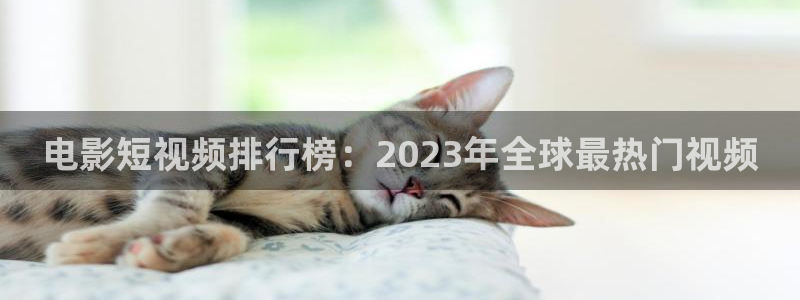 神马伦理一