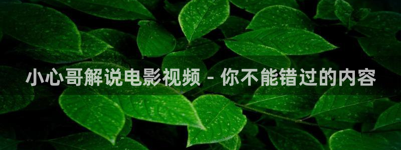 神马影院手机观看电视剧全职高手