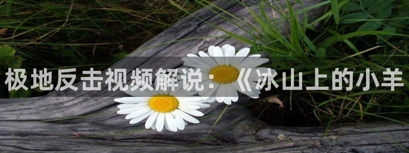 神马手机免费理论电影