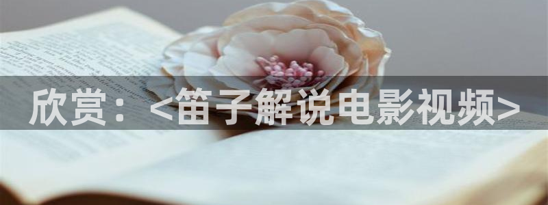 神马电影二区