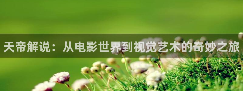 神马影院理论在线
