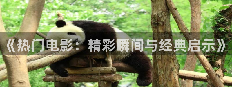 神马电影特片我不卡