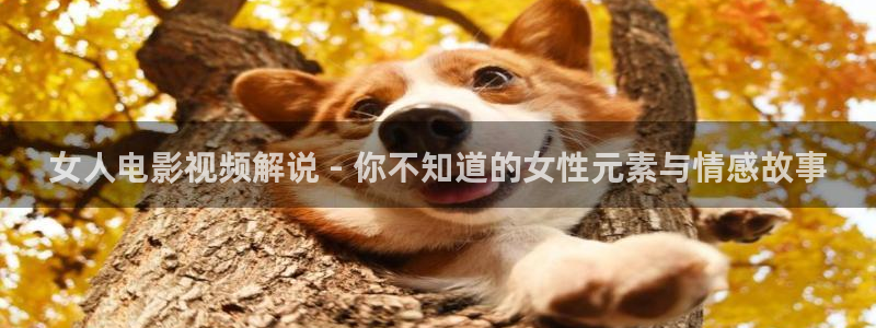 神马电影午夜片