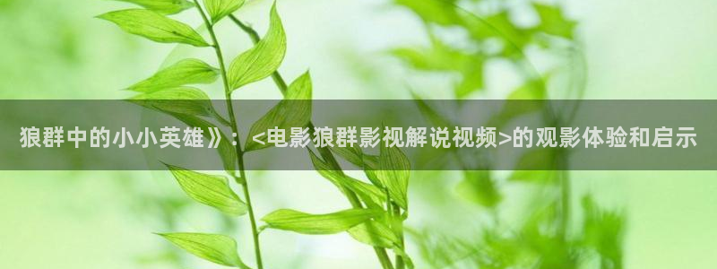 韩国秋霞神马影院：狼群中的小小英雄》：<电影狼群影视解说视频>的观影体验和启示