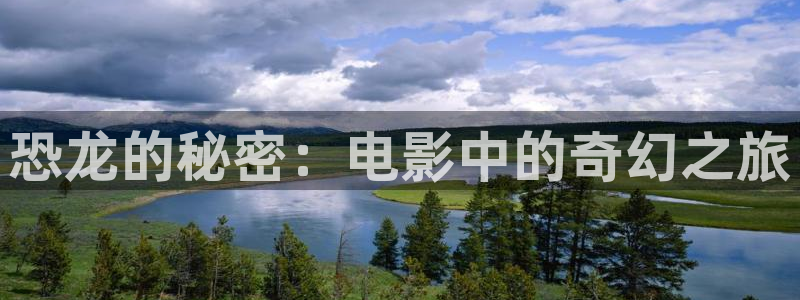 神马影院dy8888午夜