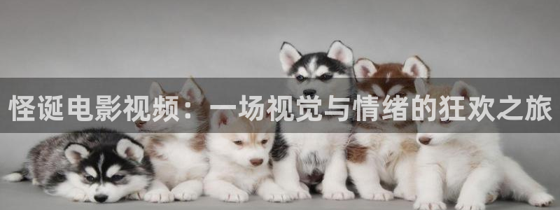 神马电影网dy8888