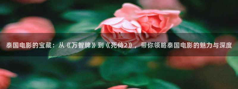 神马影院韩国理论片