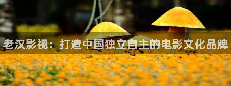 神马电影大全在线观看
