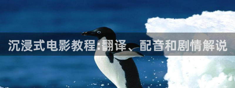 神马电影三级理论片