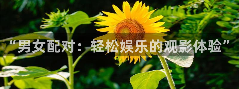 神马我不卡
