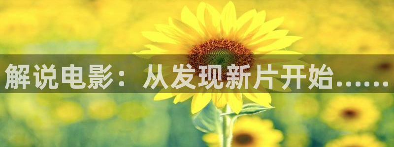 午夜神马在线观看视频